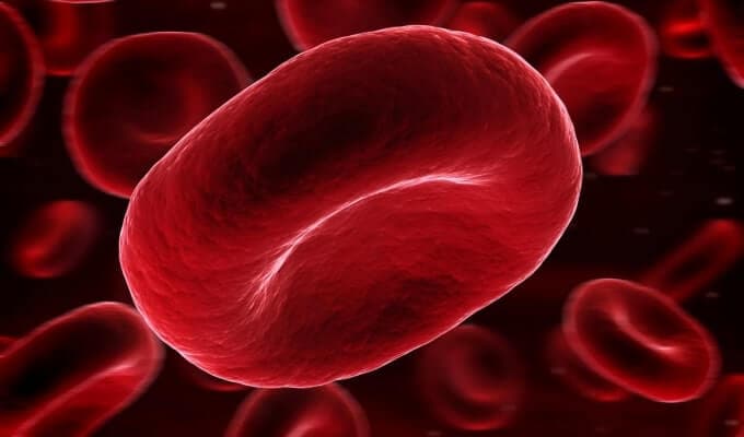 Ferritin yoki saqlangan temir