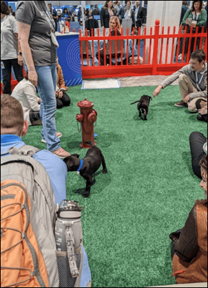 Doktor Jayne bilan HIMSS dan 4/20/23 – HIStalk