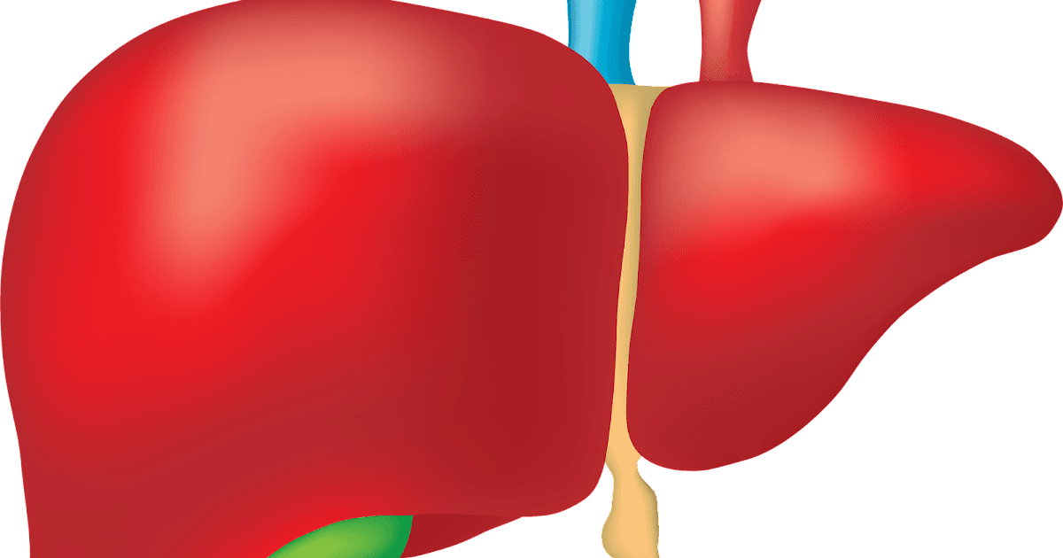 Jigarni yaxshilashning eng yaxshi usuli // Jigar salomatligi bo’yicha maslahatlar.
