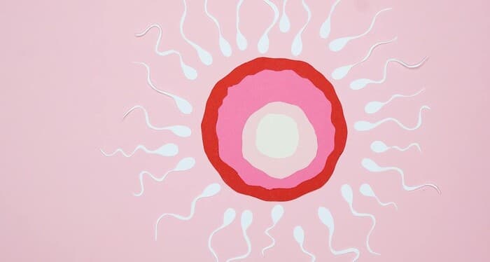 TTC bo’lganda erkaklar uchun ovqatlanish bo’yicha maslahatlar