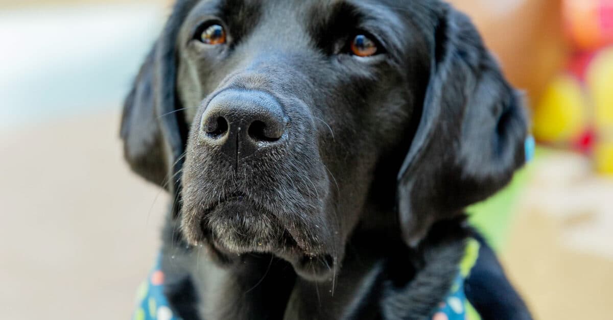 Ehtiyotkorlik va o’z-o’zini parvarish qilishni qanday mashq qilish kerak
