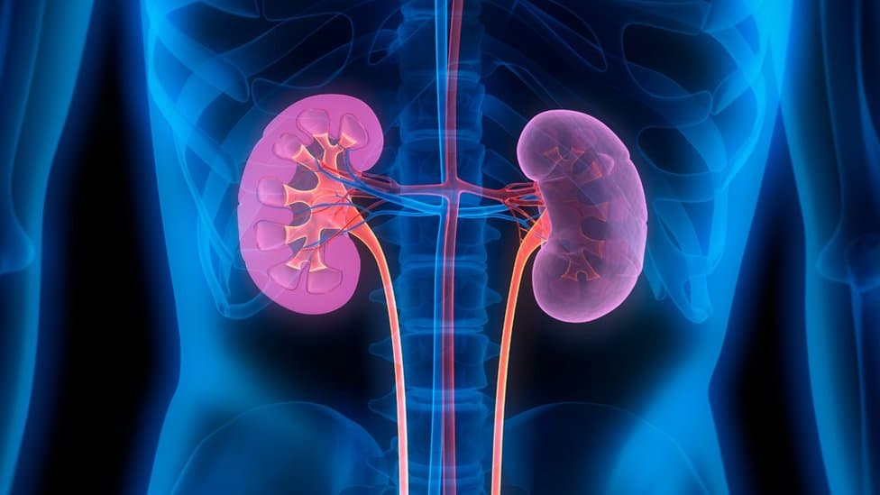 Buyrak shamollashining asosiy diagnostik belgilarini uy sharoitida aniqlash