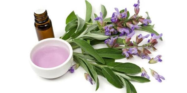 Mavrak ayollar bepushtligini davolaydi