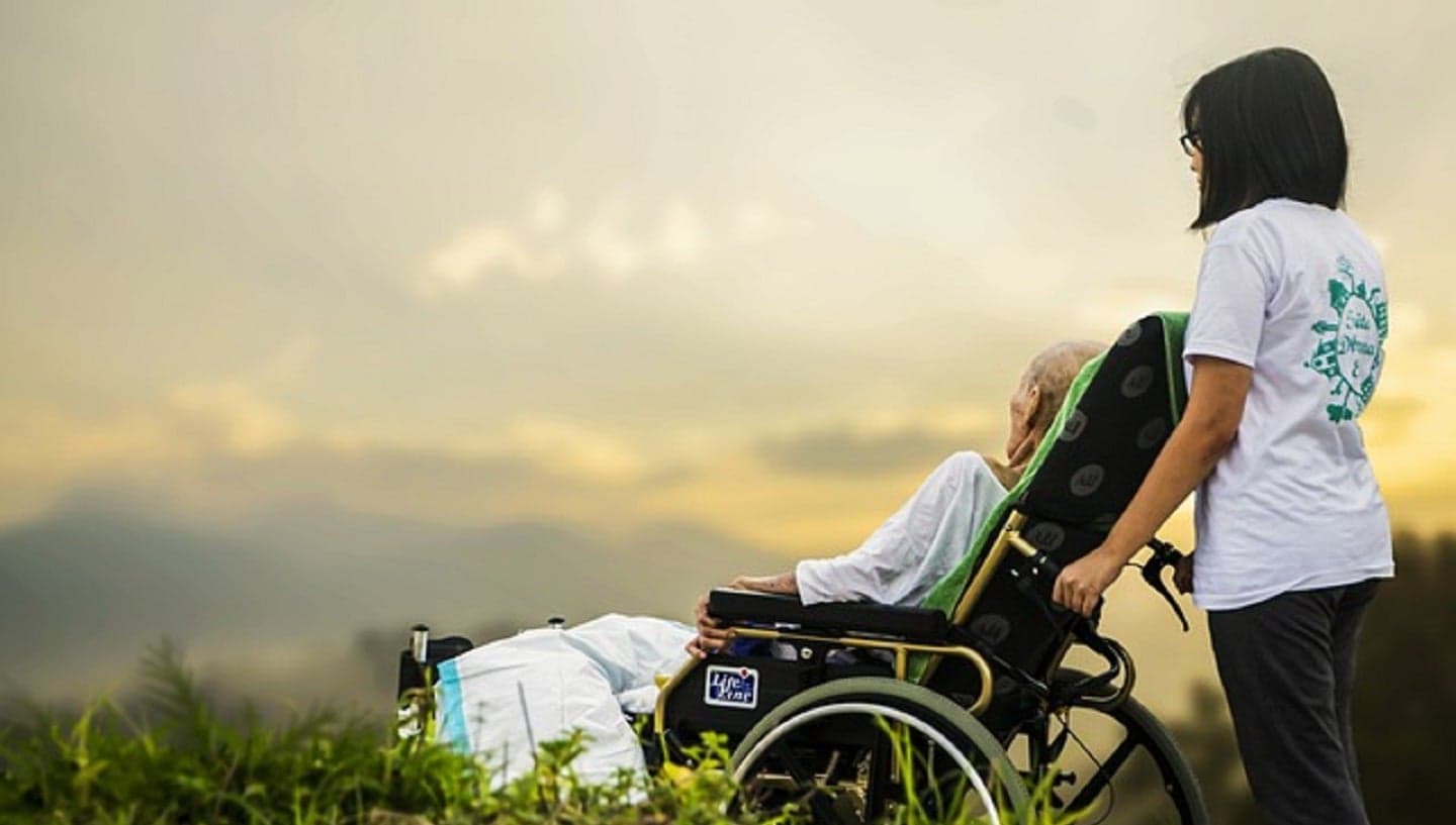 Iveda, Keksalarni parvarish qilish bo’yicha Movement Interaktiv hamkori