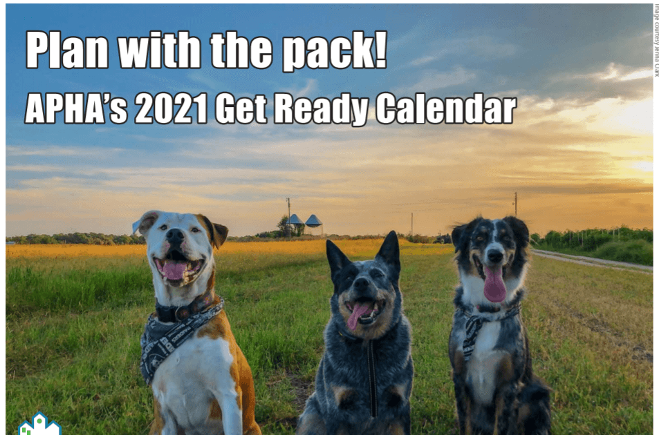 Paket bilan reja tuzing! Yangi kalendar chiqdi