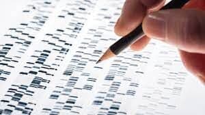 Genetik yagona nukleotidli polimorfizm variantlari kelajakda tish kariesini tekshirish vositasi sifatida ishlab chiqilishi mumkin.