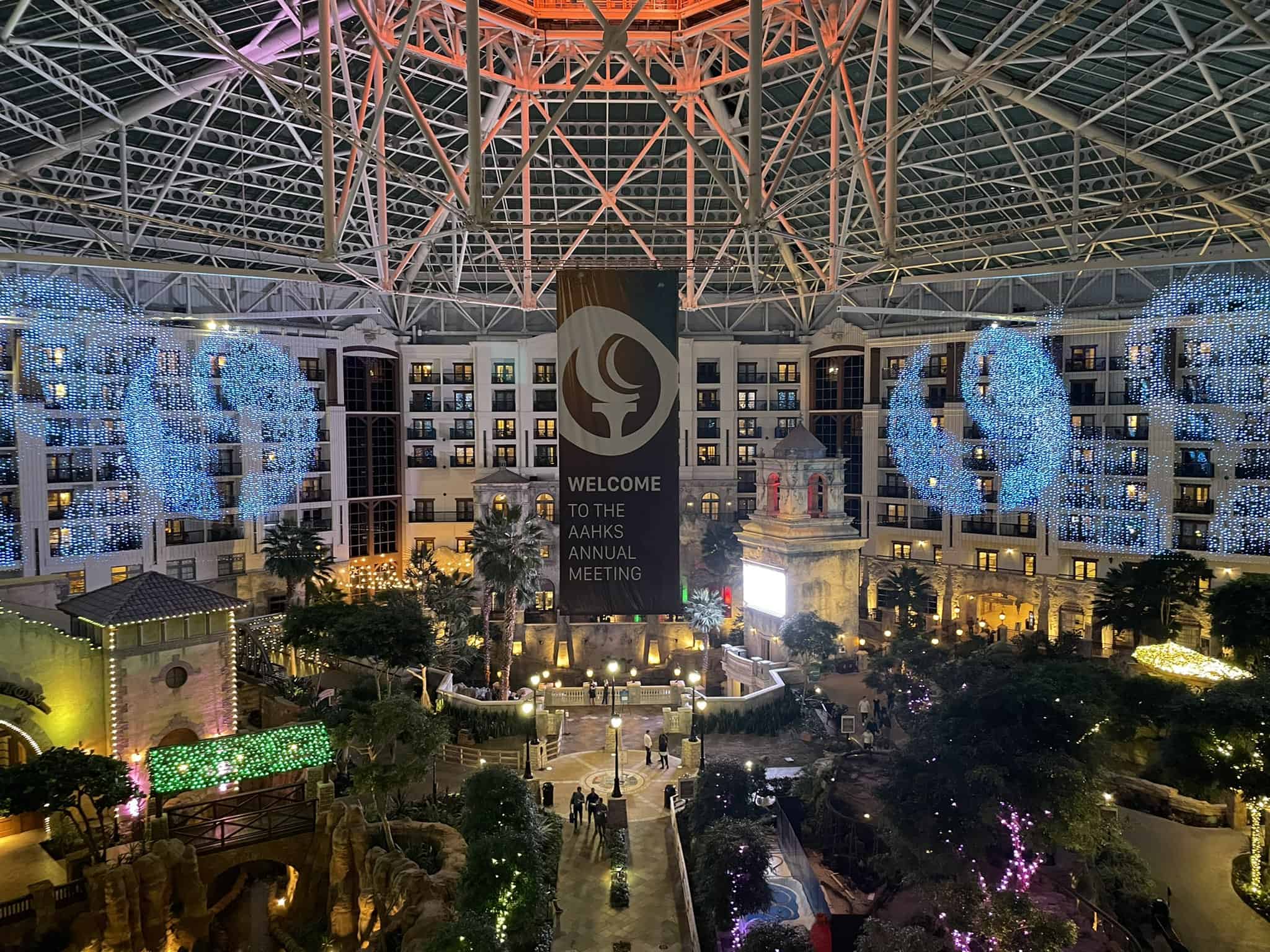 Son va tizza jarrohlaridan etakchilik bo’yicha darslar