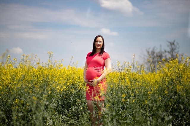 Tabiiy ofatlar surrogatlikka qanday ta’sir qiladi?